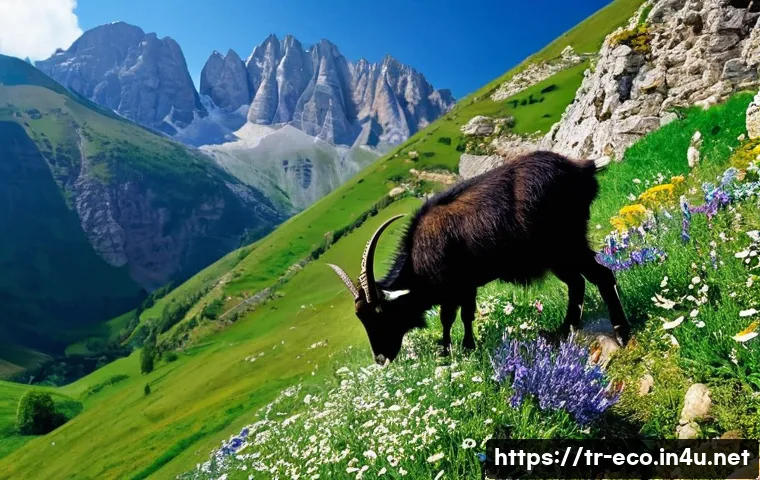 고산 지대 생태 - **High Peaks and Endemic Wonders of Kaçkar**
A wide, breathtaking panoramic shot of the majestic...